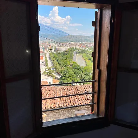 Hava Baci *